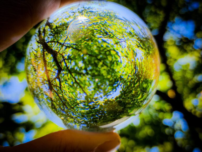 Trees through a magnifying glass